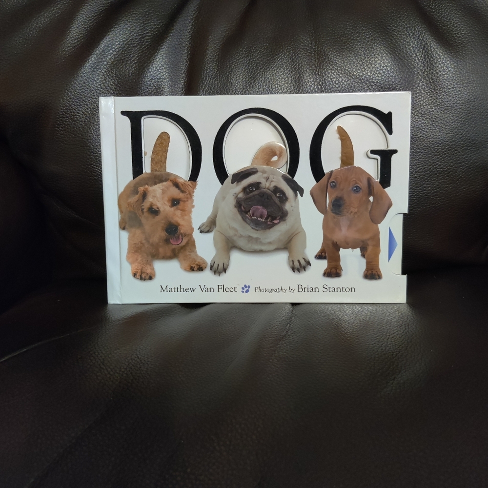Dog By Matthew Van Fleet Board Book With Pull Outs And Textures